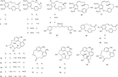 Corylus avellana: A Source of Diarylheptanoids With α-Glucosidase Inhibitory Activity Evaluated by in vitro and in silico Studies